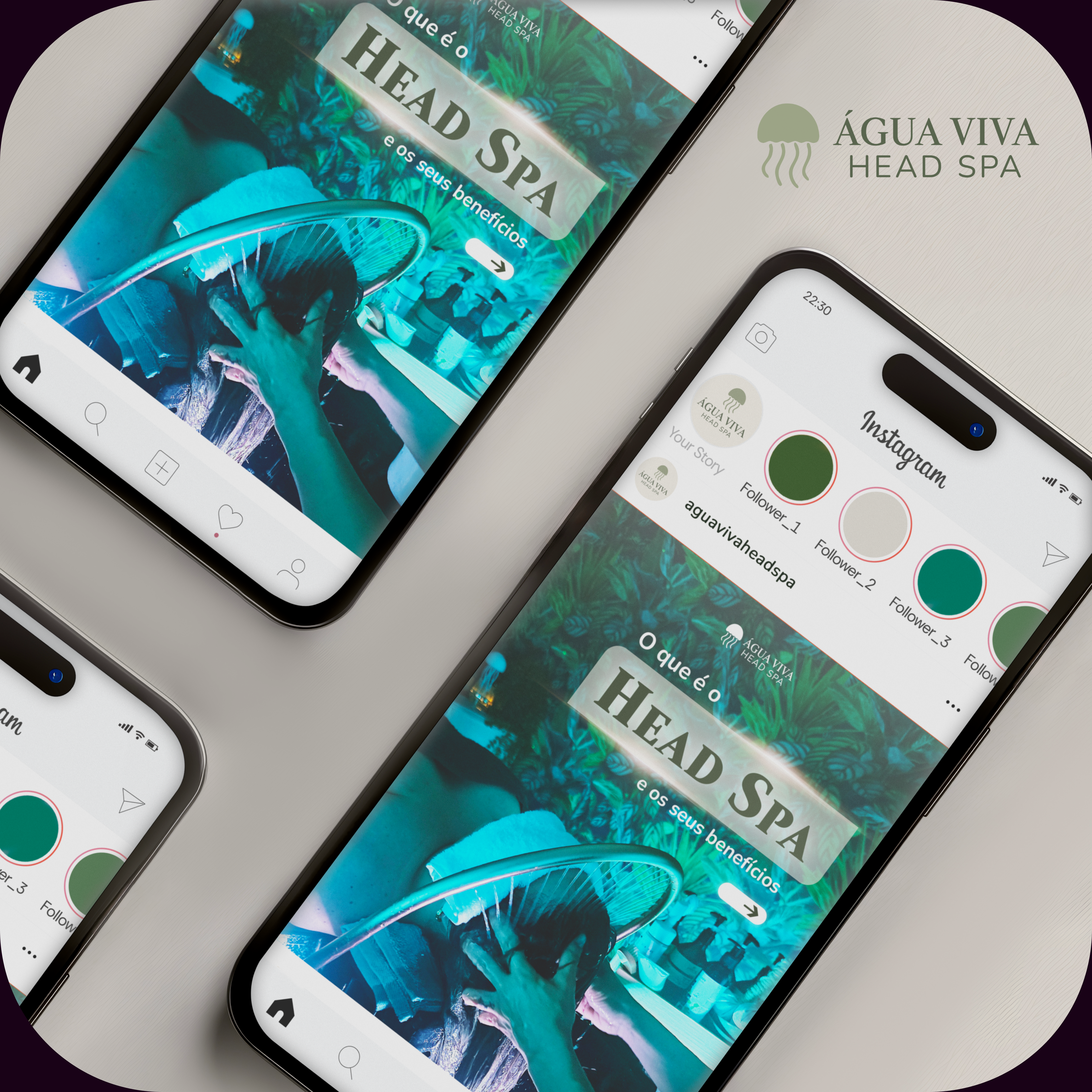 alluxe lure cande packaging design